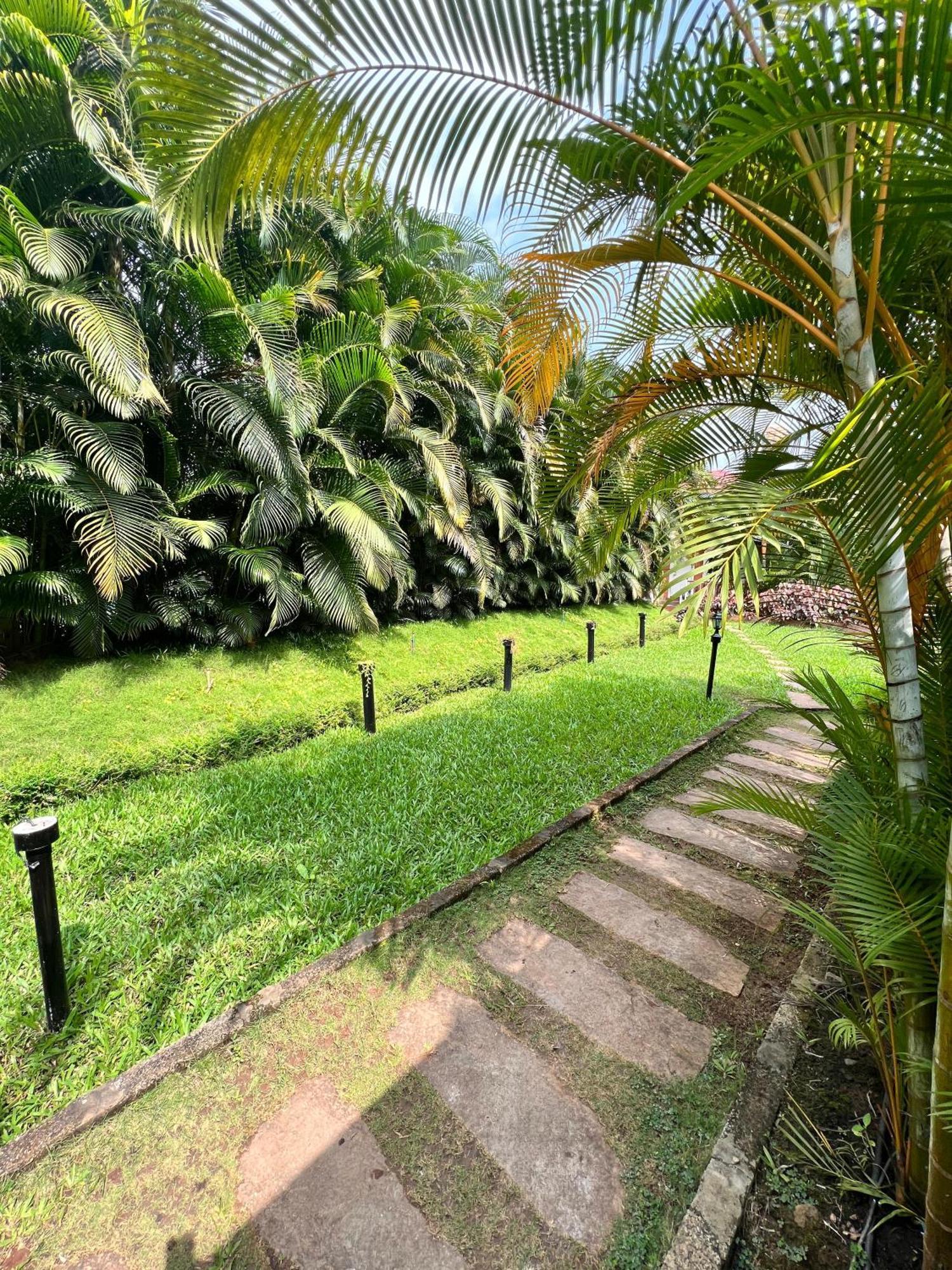 Coorg Nesara Hotel And Resort Kushālnagar Buitenkant foto